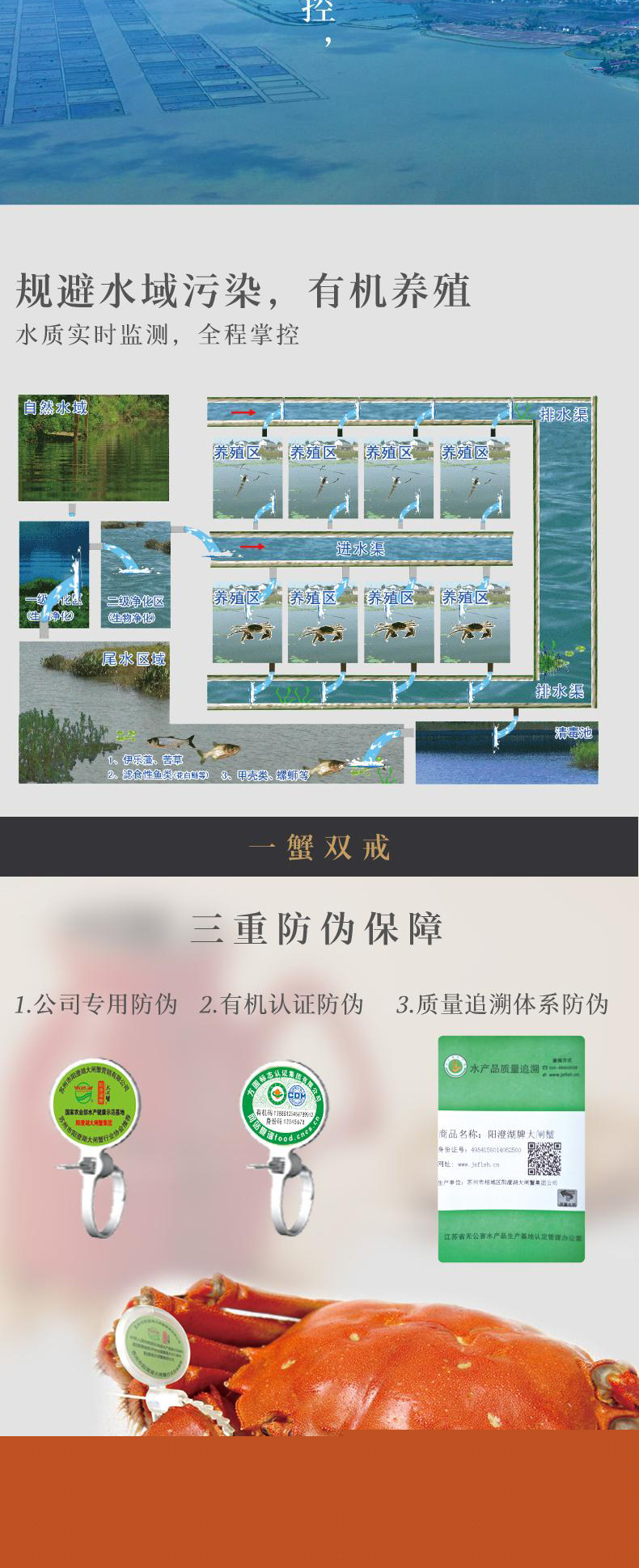 详情页_04.jpg